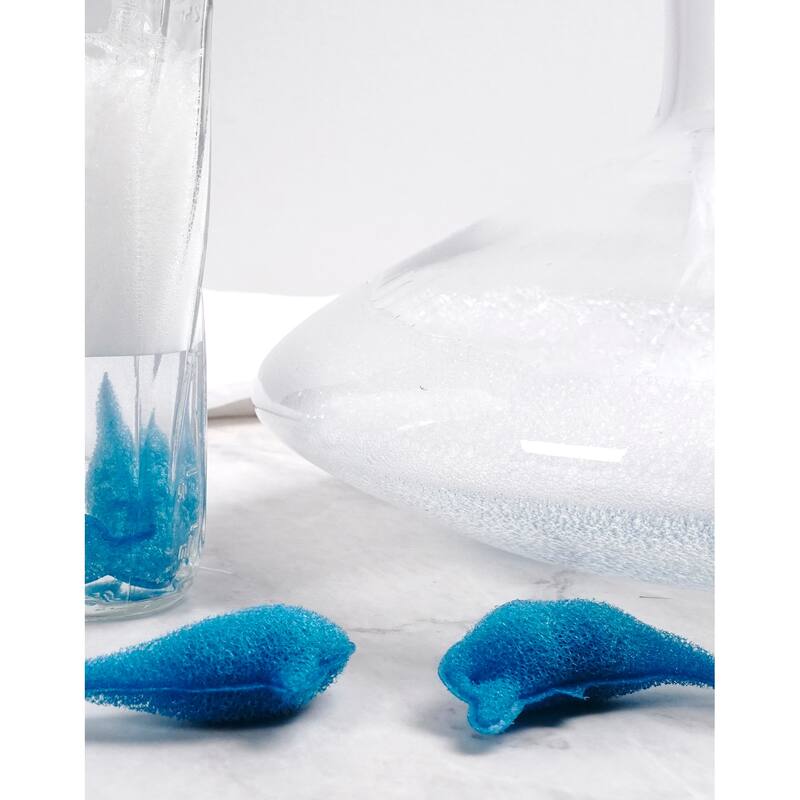 Bottle Cleaning Sponge (Set of 3)