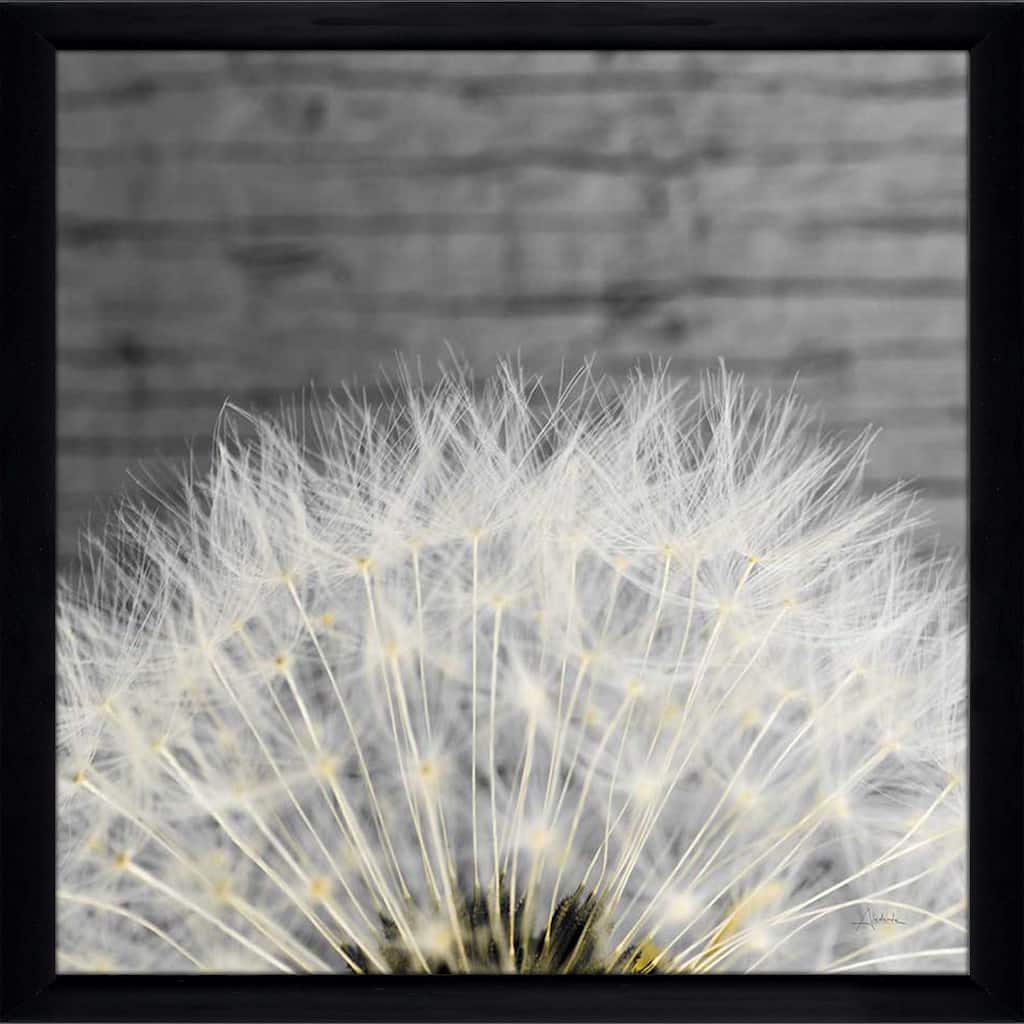 "Delicate Dandelion" Print on Acrylic