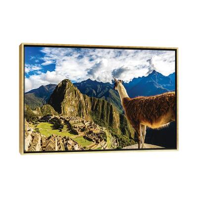 iCanvas "Peru Machu Picchu Lama Overlooking" by Alex G Perez Framed Canvas Print