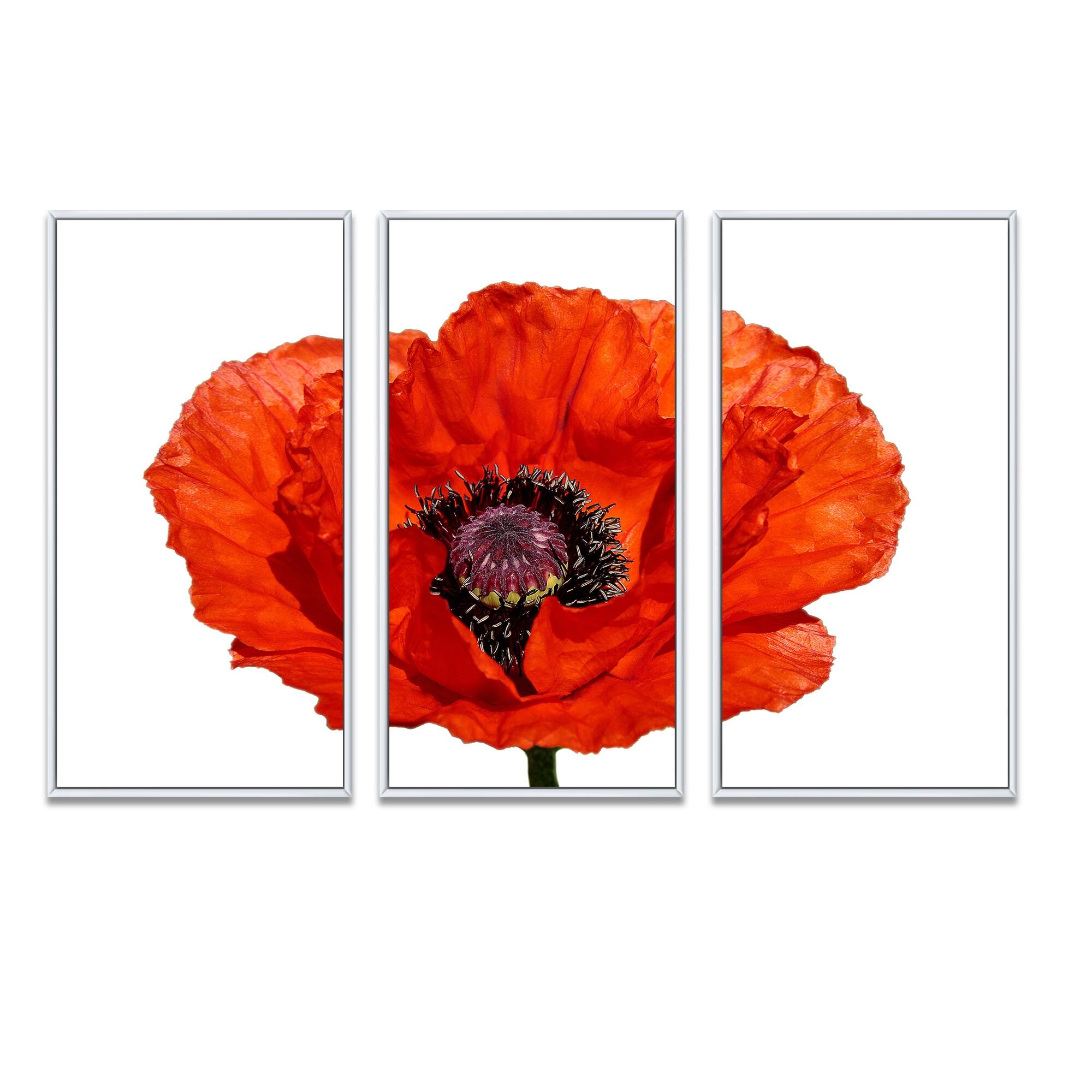Designart "Red Poppy Blossom Close Up" Floral Framed Canvas Wall Art