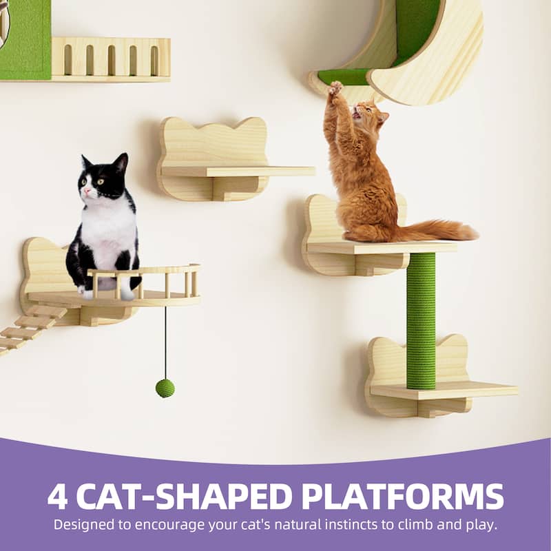 Cat Wall Shelves and Perches