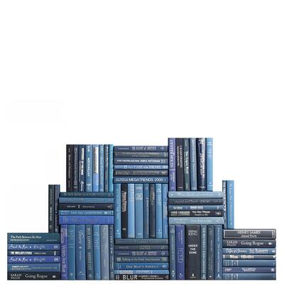 Books Blue Decorative Accessories: Denim & Silver Book Wall, S/75