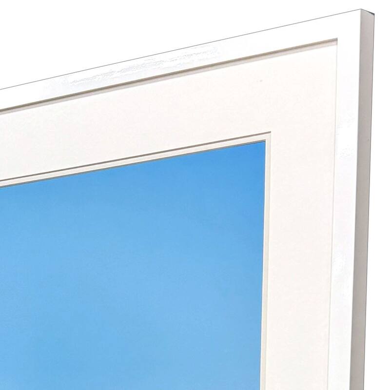 Paragon Avian Perspective Framed Art