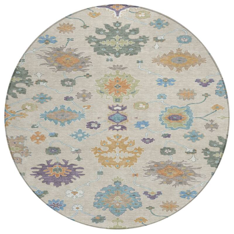 Machine Washable Indoor/ Outdoor Traditonal Delhi Chantille Rug