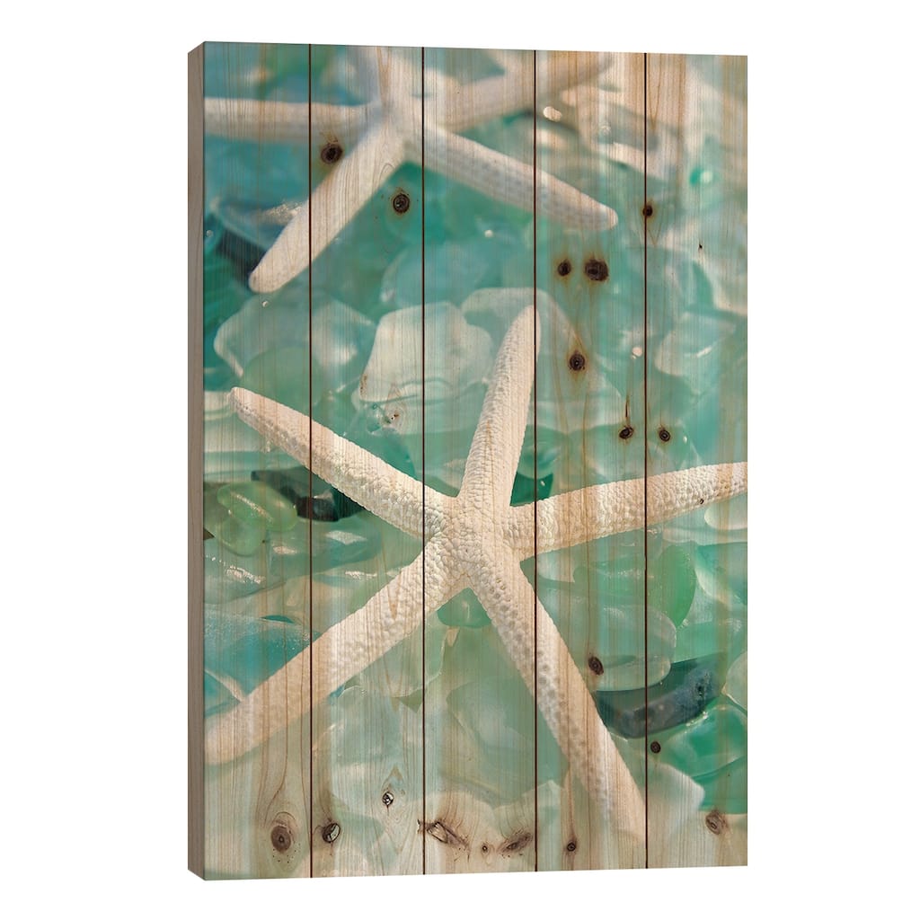 Seaglass 1 Print On Wood by Alan Blaustein - Multi-Color