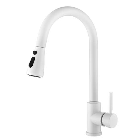 Kitchen Faucet with Pull down Spraye