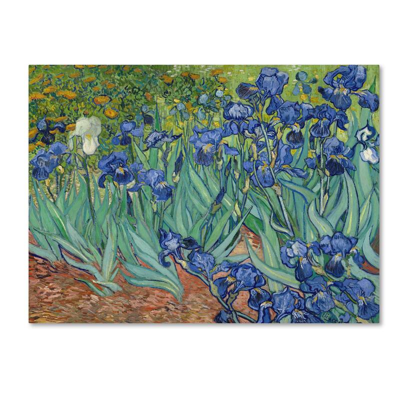 Vincent van Gogh 'Irises, 1889' Canvas Art