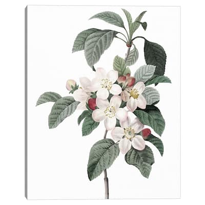 Apple Blossoms Crop Lite by Design Lab Canvas Art Print