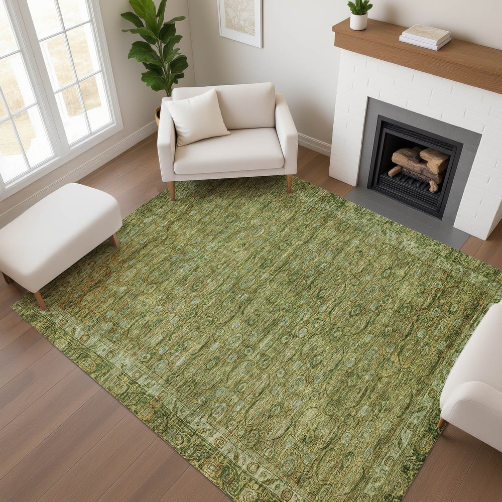 Premium Washable Super Soft Vintage Traditional Mayfield Rug