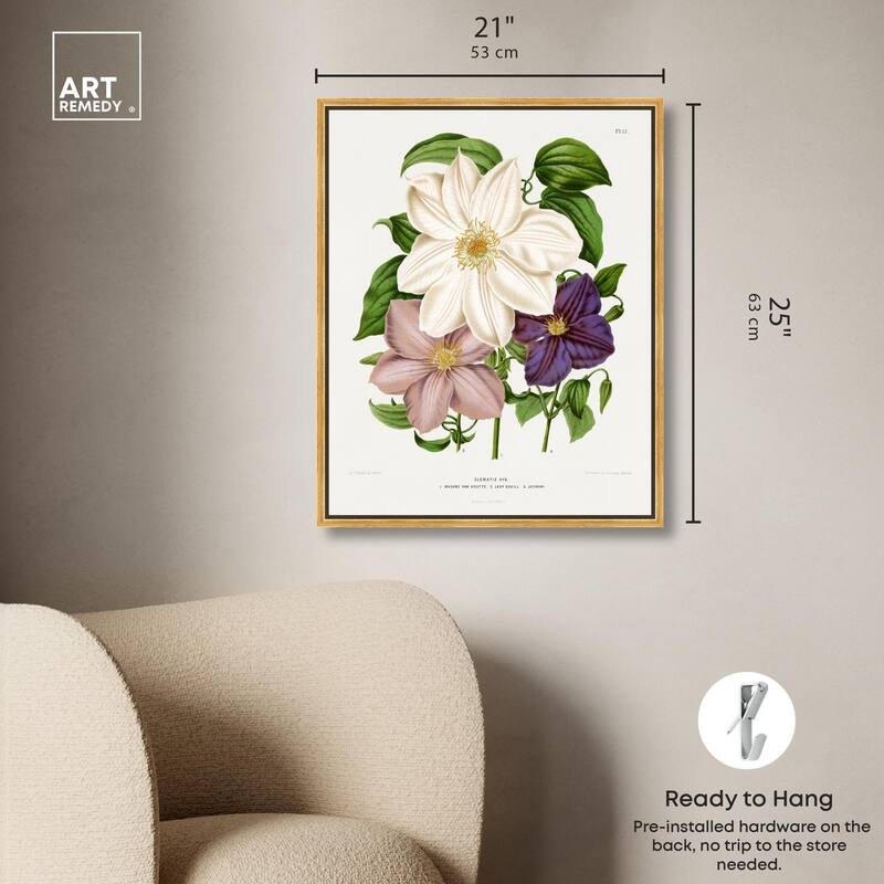 Clematis Canvas by Art Remedy