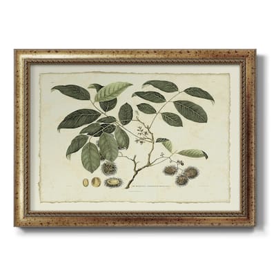 Delicate Botanical III Premium Framed Canvas- Ready to Hang