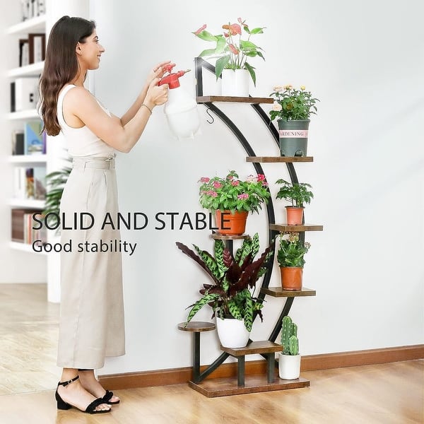 variegated monstera for sale Monstera 'Albo Borsigiana Variegated'