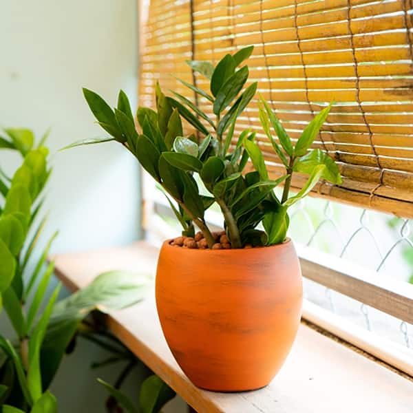 hanging planter rectangle Rectangle Hanging Planter | Ceramic Pot for Air Plant & Small Succulent