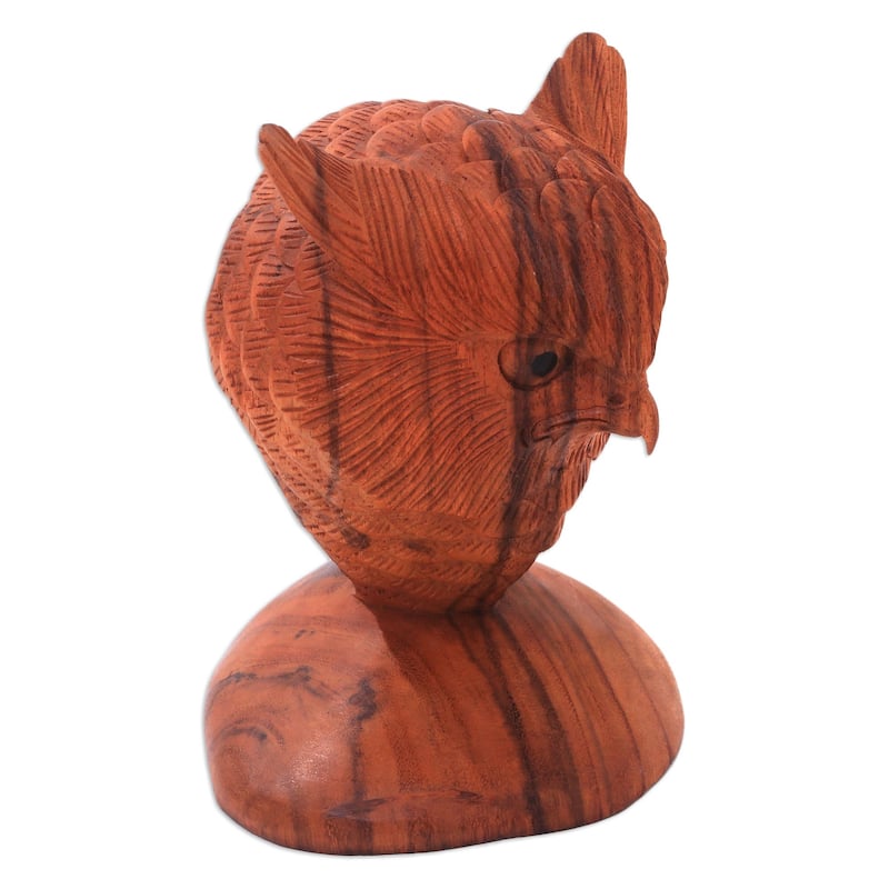 Novica Handmade Owl Bust Wood Sculpture