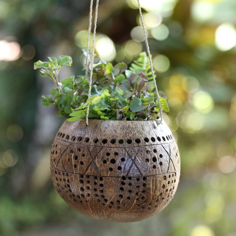Novica Handmade Gardening Coconut Shell Hanging Planter
