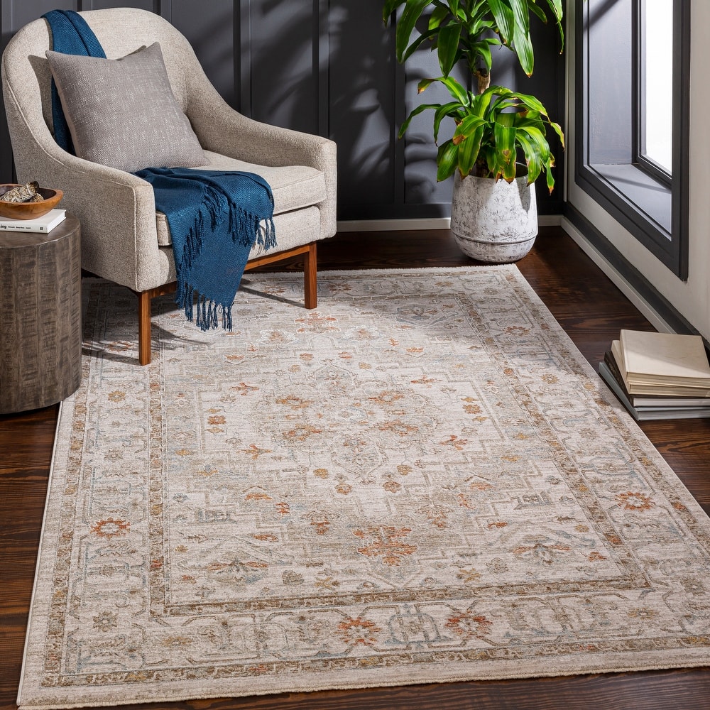 Artistic Weavers Rian Classic Medallion Area Rug