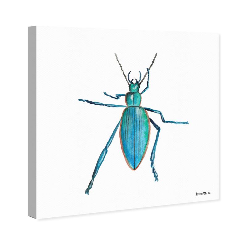 Wynwood Studio Canvas Animals Turquoise Bug Blue and Turquoise Rustic Wall Art Canvas Print