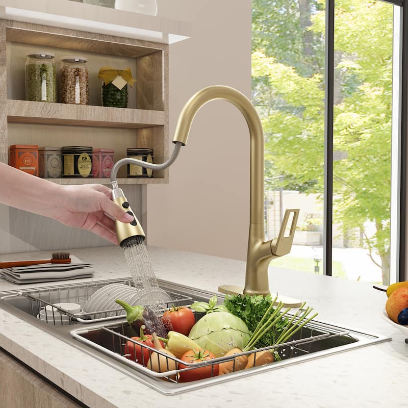 Single-Handle Kitchen Sink Faucet With Pull-Out Sprayer