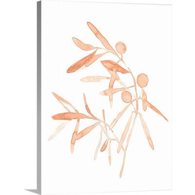 "Blush Olive Branch IV" Canvas Wall Art