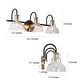preview thumbnail 14 of 22, Bathroom Vanity Light Fixture Modern Farmhouse Black Wall Sconce Light