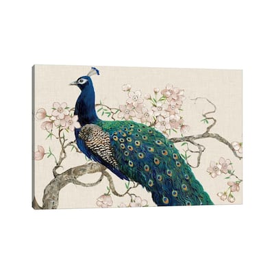iCanvas "Peacock & Blossoms II" by Tim OToole Canvas Print