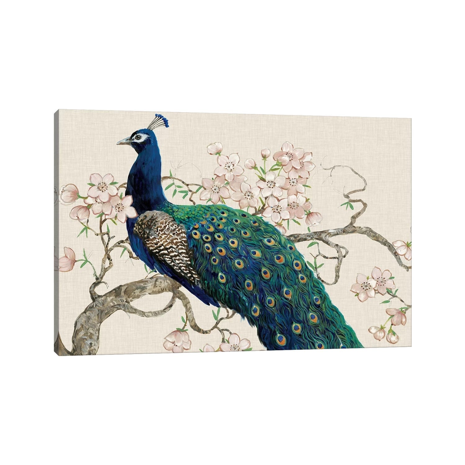 iCanvas "Peacock & Blossoms II" by Tim OToole Canvas Print