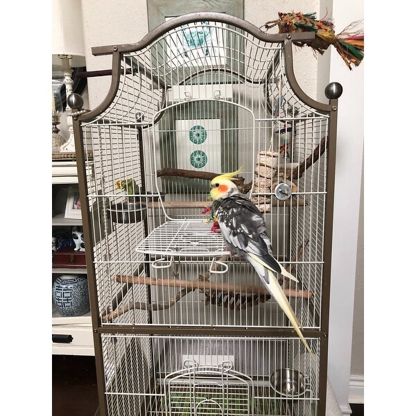 prevue pagoda cockatiel cage