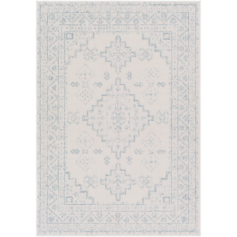 Susannah Indoor / Outdoor Updated Traditional Area Rug
