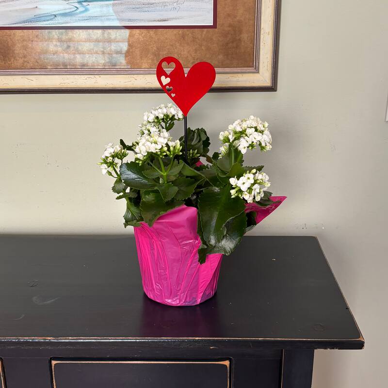 4" Iron Red Heart with Cutouts on 10" Garden Planter or Garden Floral Stake, Set of 6