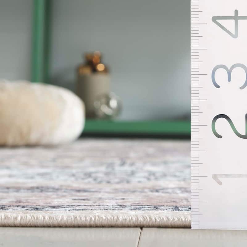 SAFAVIEH Orlando Zina Traditional Rug