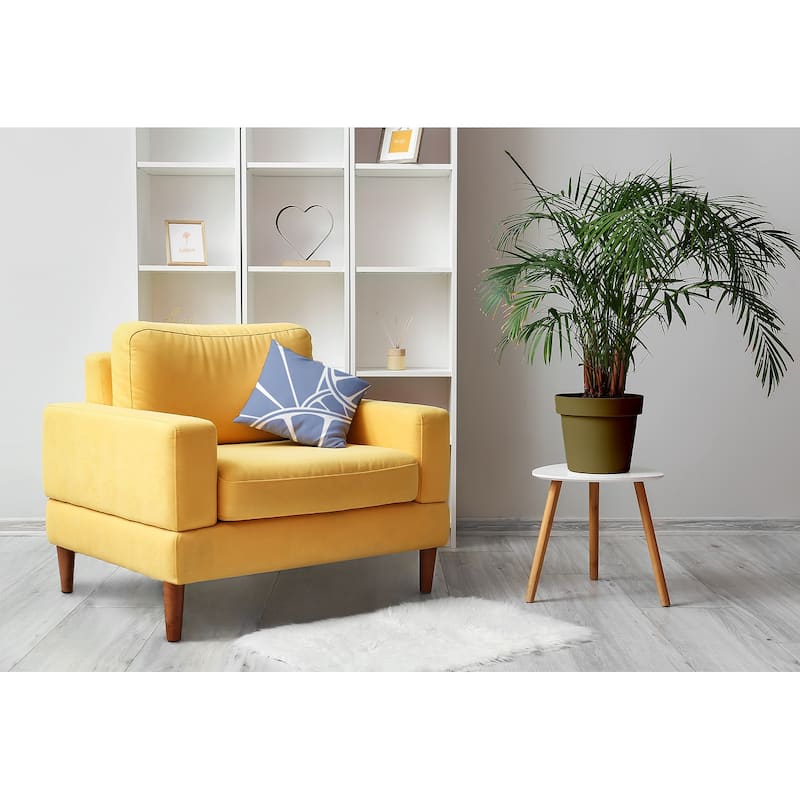 Fruit Wedges Decorative Throw Pillow