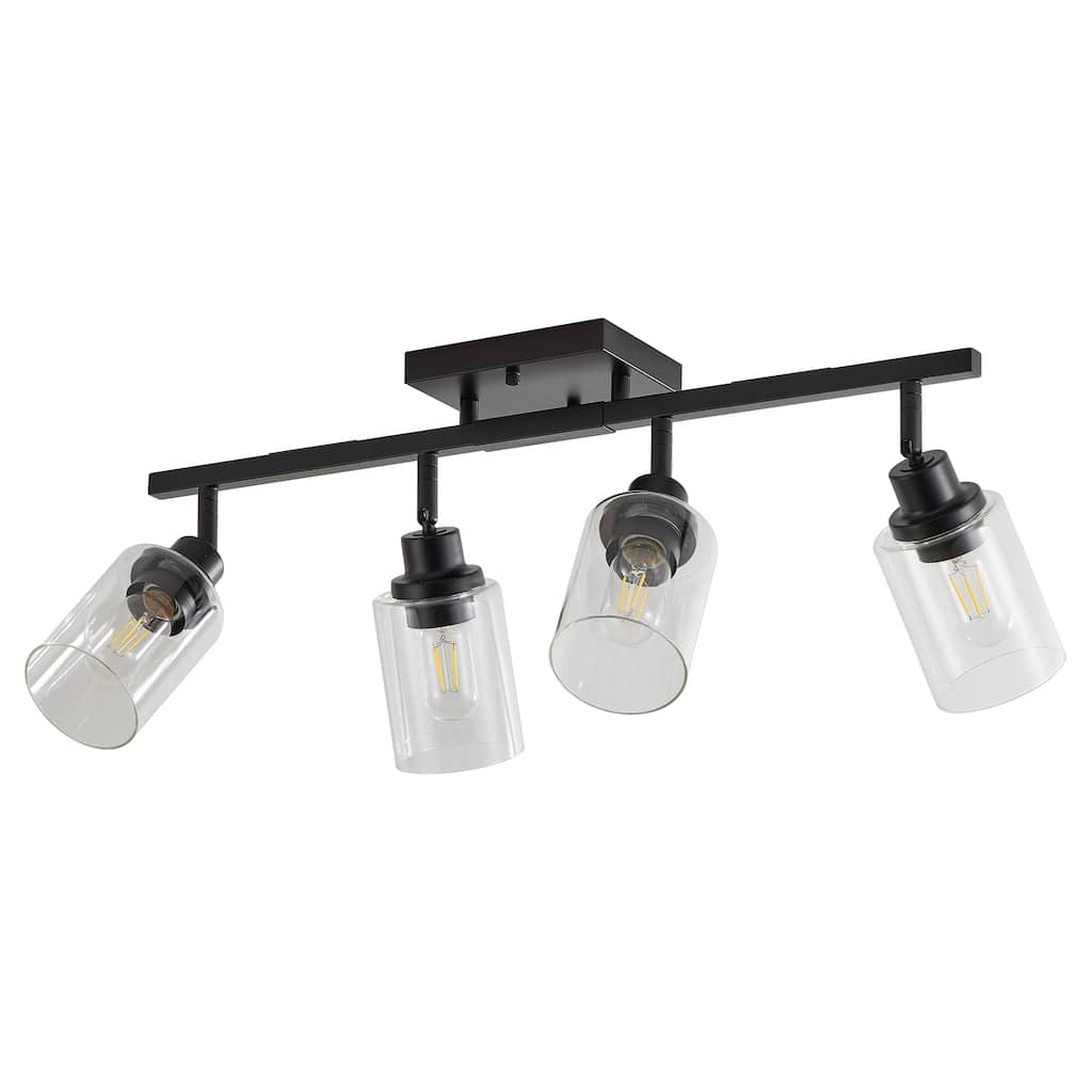 4-Lights Track Lighting Fixtures Ceiling with Clear Glass Shades, Modern Black Semi Flush Mount Ceiling Light(Bulb Not Included)