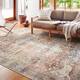 Alexander Home Tremezzina Printed Distressed Area Rug - 3'6" x 5'6"