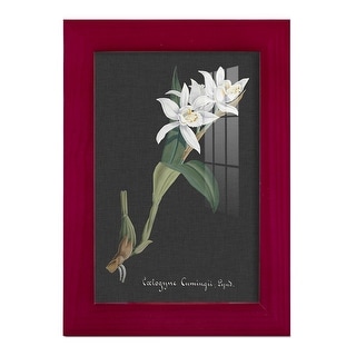 Orchid on Slate III -Framed Print w/glass-Cherry Red