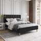 Option Black