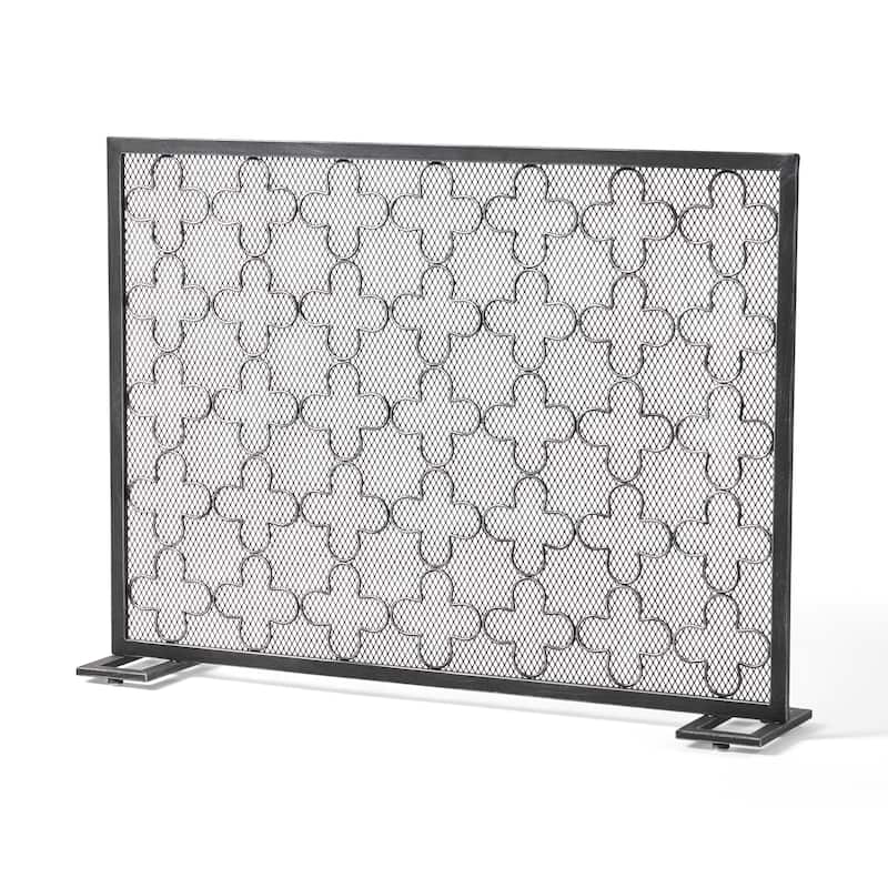 Contemporary Iron Fireplace Screen with Matte Finish