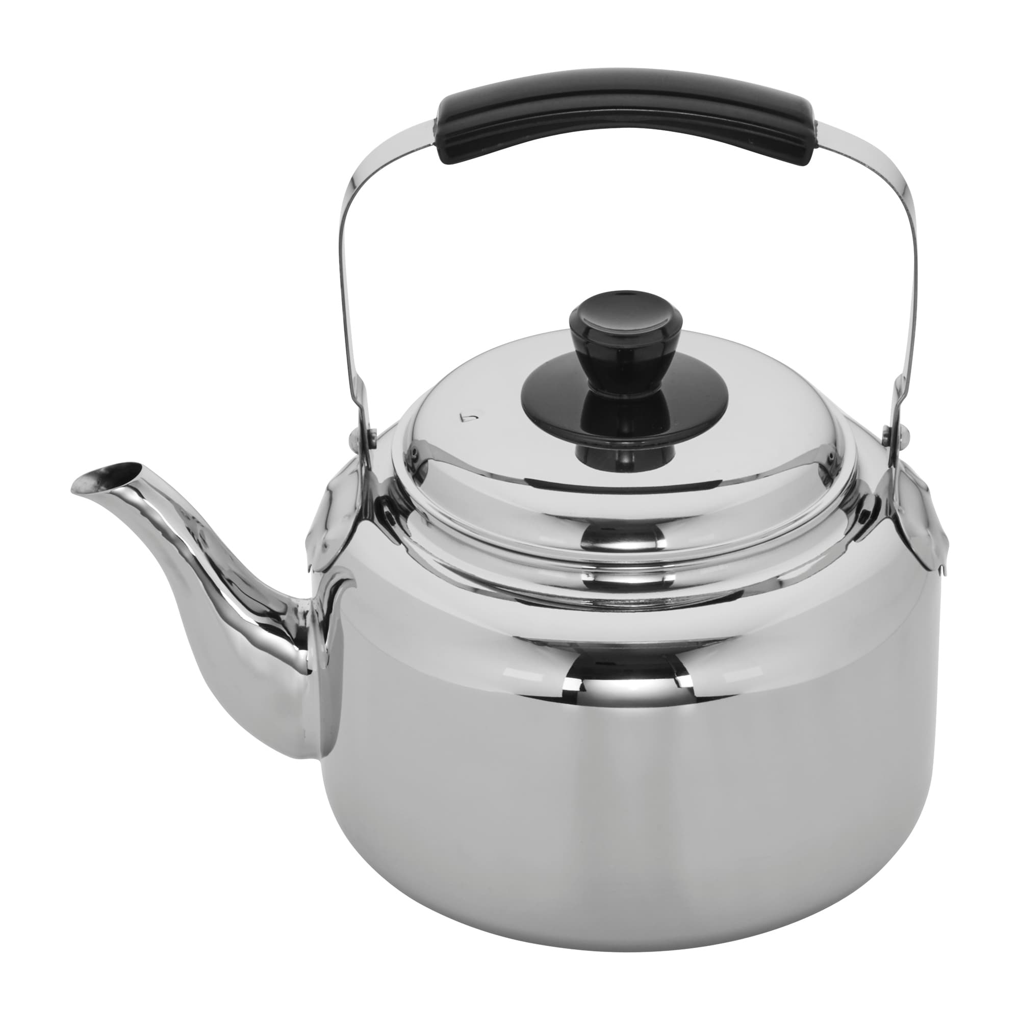 stainless tea kettle