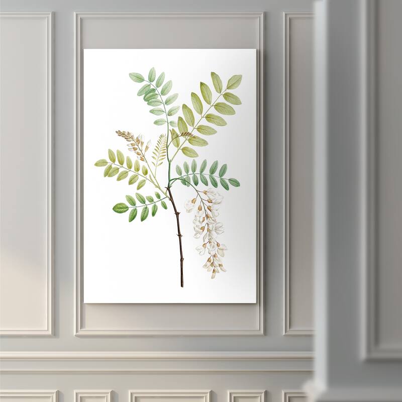 Soft Green Botanical I -Premium Gallery Wrapped Canvas