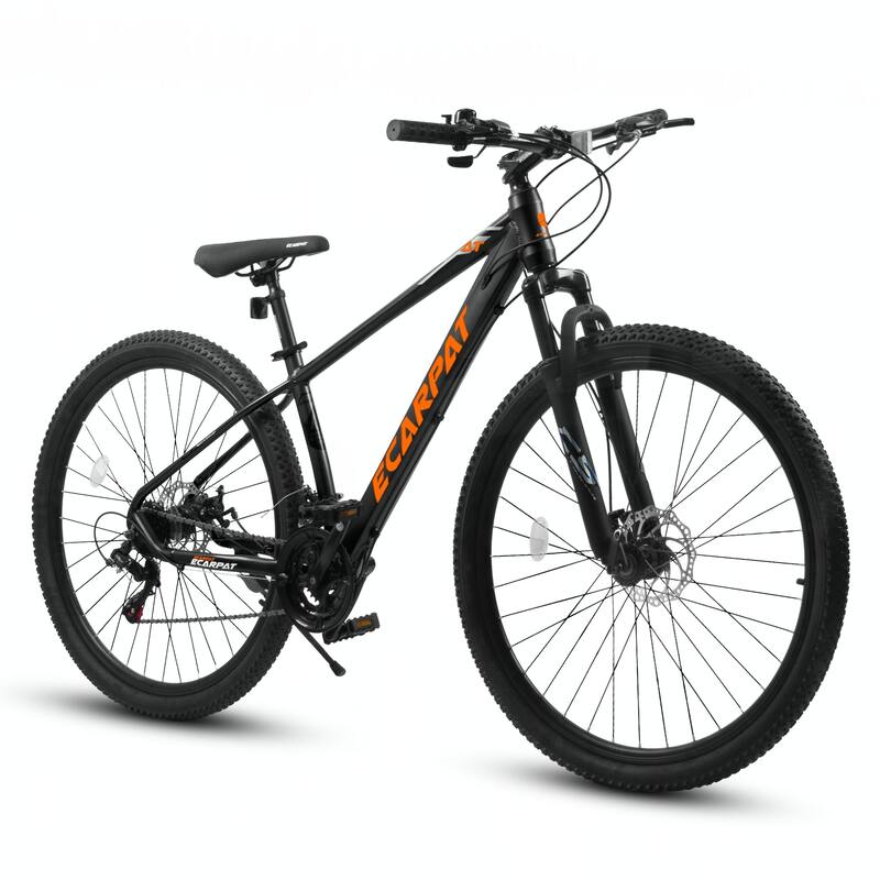 29 Inch Mountain Bike 21 Speed, Suspension Fork