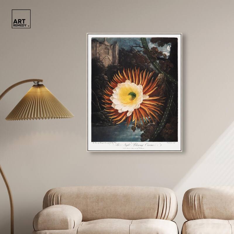 Night-Blowing Cereus 1807 Canvas by Art Remedy