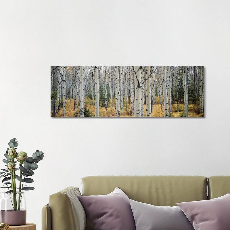 iCanvas "Aspen Trees in a Forest Alberta, Canada" by Panoramic Images Canvas Print - 16x48x1.5