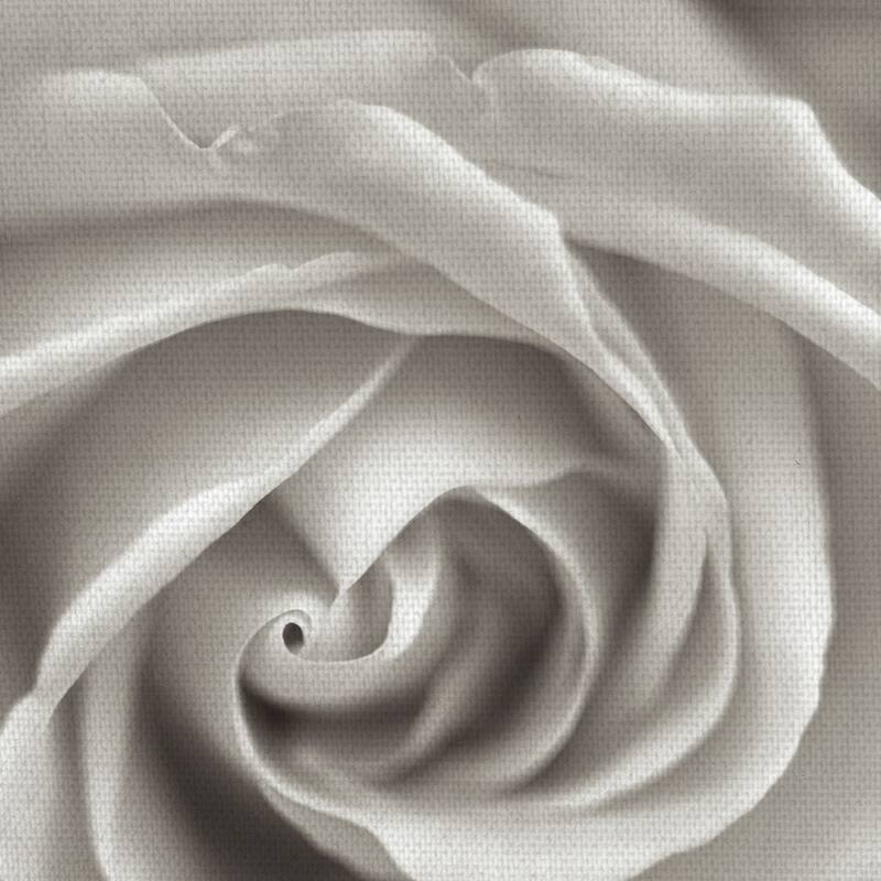 Florison #23 Canvas Art Print