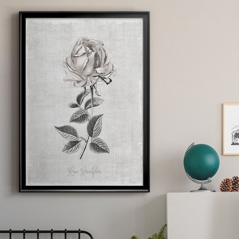 Vintage Botanical II Premium Framed Print - Ready to Hang