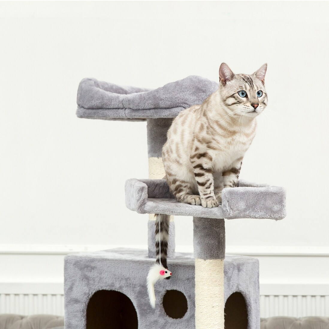 Haviland climbing tower cat condo 2025