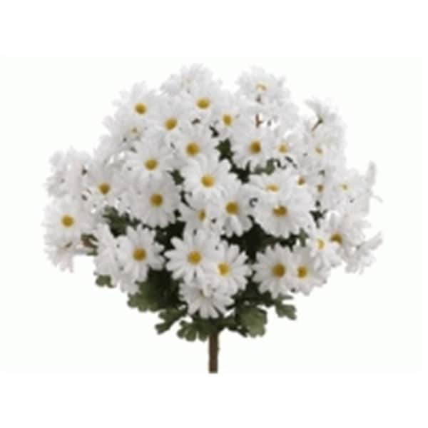 FBD951-WH 19 in. White Daisy Bush- Case of 12