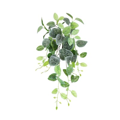 Artificial Fittonia Ivy Leaf Vine Hanging Plant Greenery Foliage Bush 24in - 24" L x 12" W x 6" DP