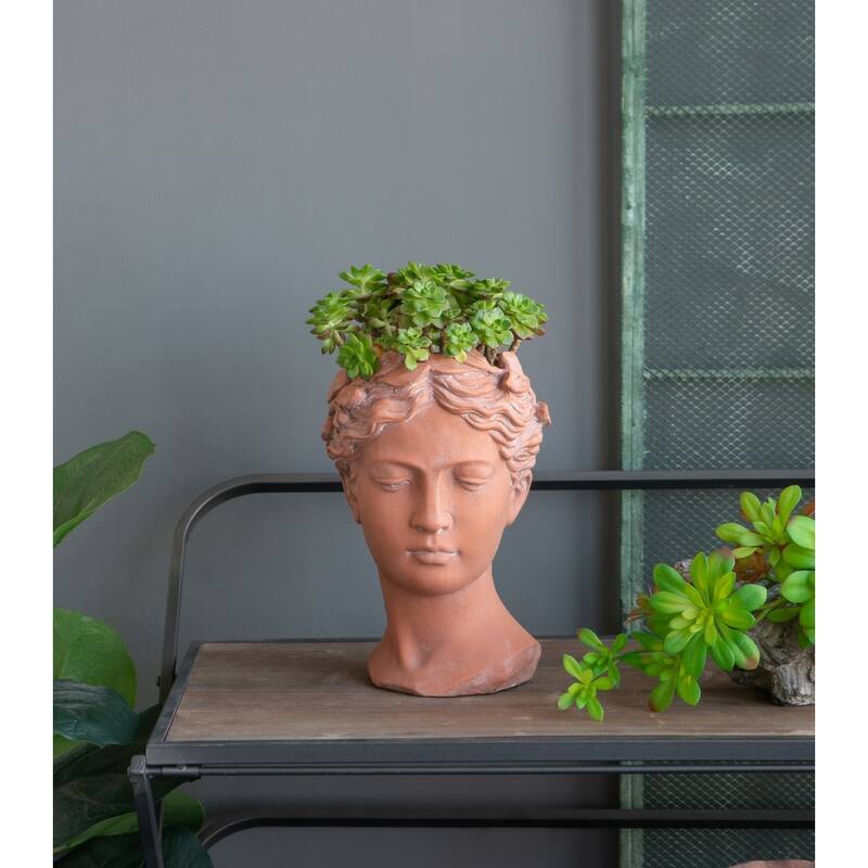 D7x11" Visage Head Bust Planter, Brown