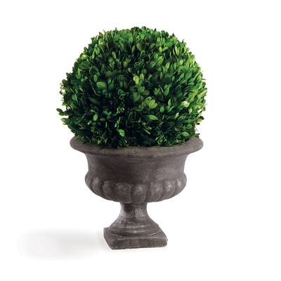 Boxwood Ball In Urn 12"