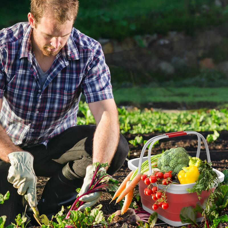 Collapsible Laundry Basket-Multiuse Organizer/Storage Container by Lavish Home