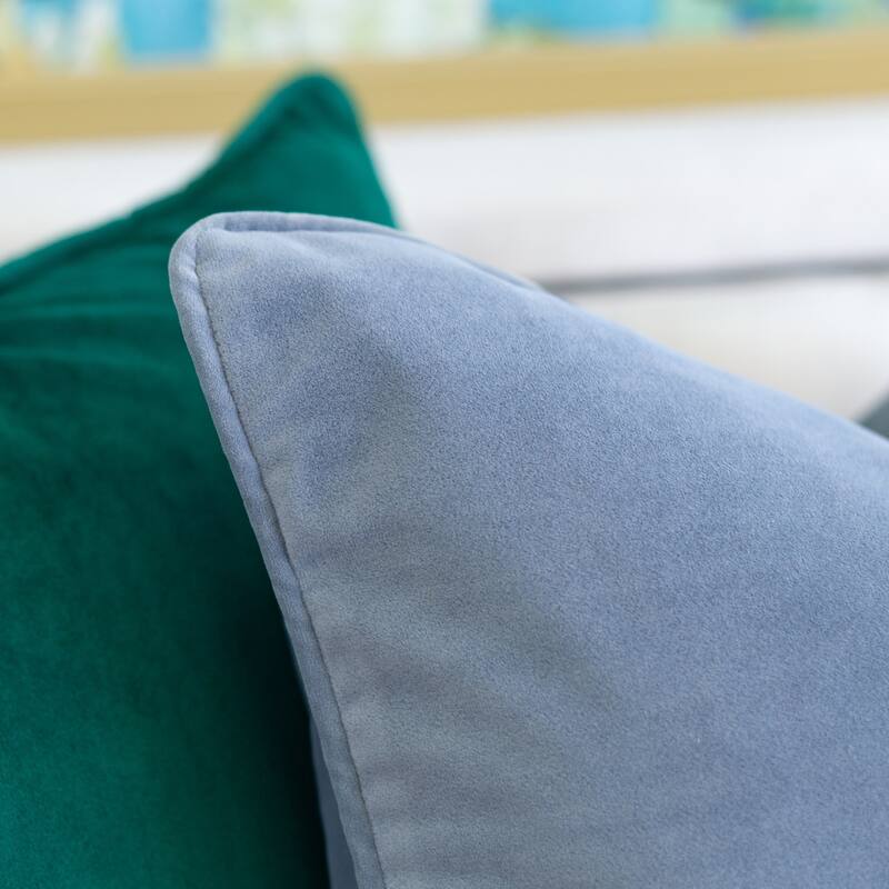 Elisa Velvet 20" Square Decorative Throw Pillow 2PK